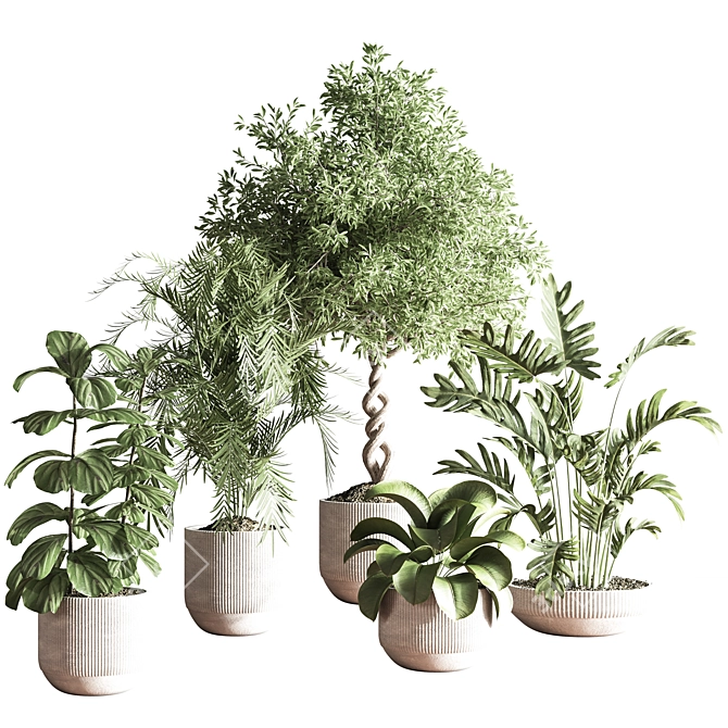 Modern Indoor Plant Set 3D 3D model image 1