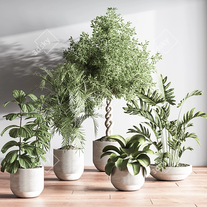 Modern Indoor Plant Set 3D 3D model image 2