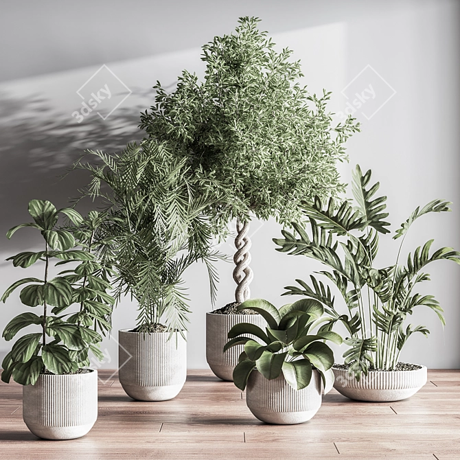 Modern Indoor Plant Set 3D 3D model image 8