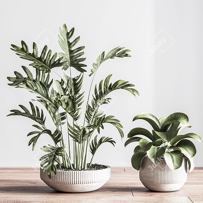 Modern Indoor Plant Set 3D 3D model image 9