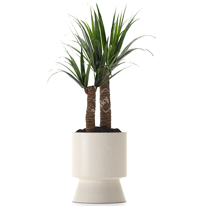 Yucca Indoor Plant 3D Model 3D model image 4