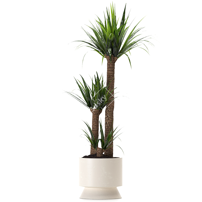 Yucca Indoor Plant 3D Model 3D model image 5