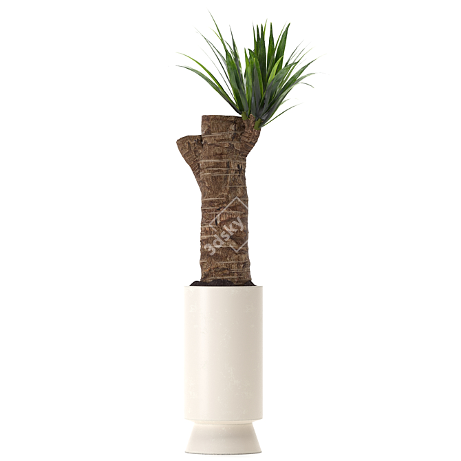 Yucca Indoor Plant 3D Model 3D model image 6