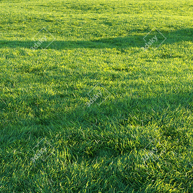 Pro Render Grass Pack 3D model image 1