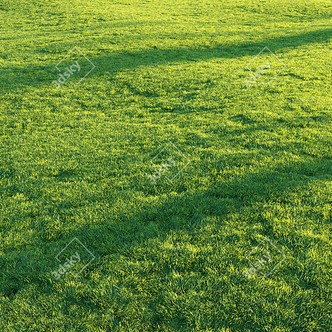 Pro Render Grass Pack 3D model image 2