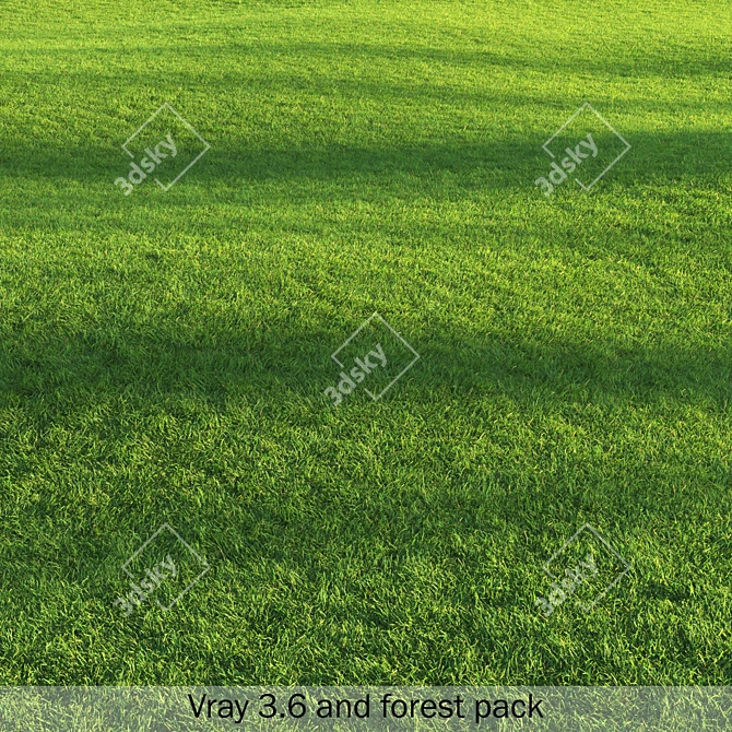 Pro Render Grass Pack 3D model image 3