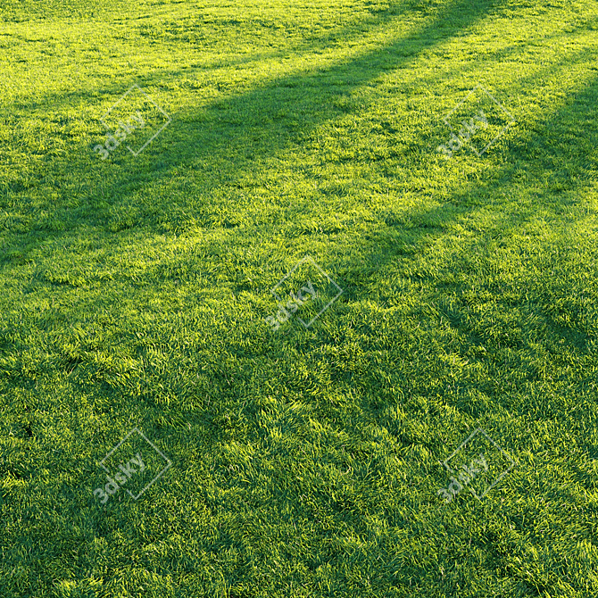 Pro Render Grass Pack 3D model image 4