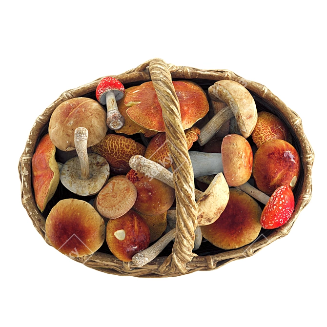 Mushroom Basket Collection - 3D Models 3D model image 2