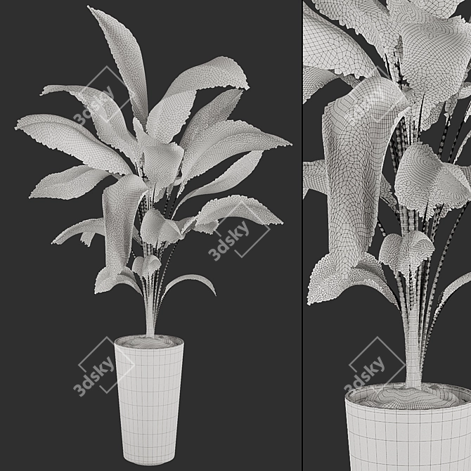 High-quality 3D Plant Models 3D model image 5