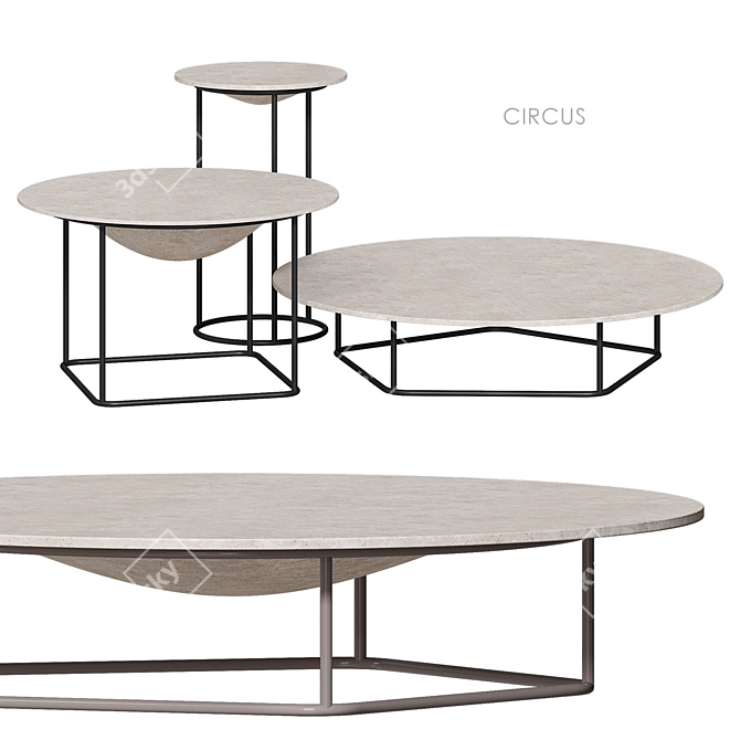 Circus Coffee Table by Minotti 3D model image 1