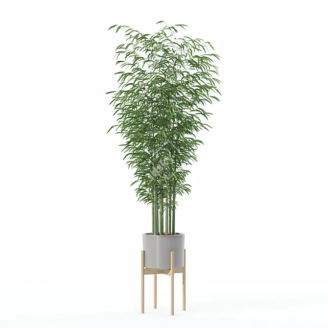 Modern Bamboo Plant in Pot 3D model image 2