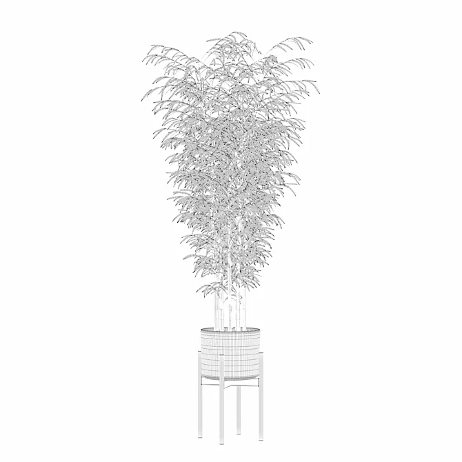 Modern Bamboo Plant in Pot 3D model image 6