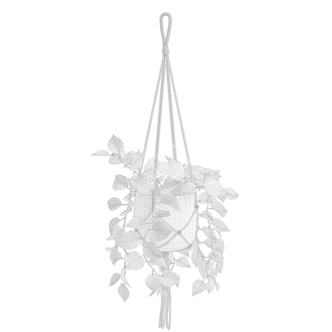 Cascading Pothos Plant Display 3D model image 3