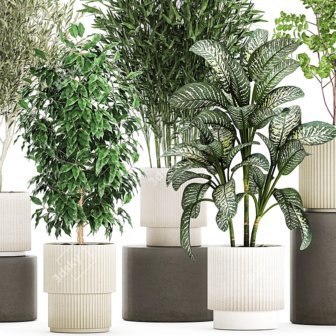 White Pot Collection: Exotic Plants 3D model image 2