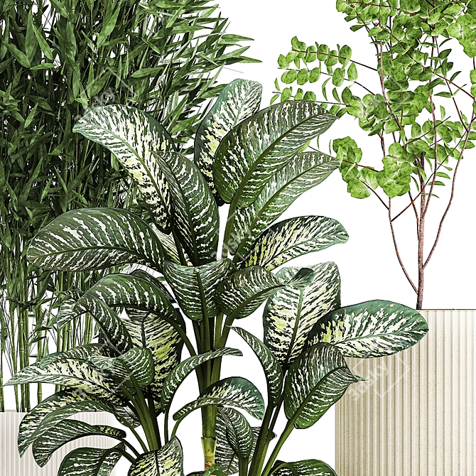 White Pot Collection: Exotic Plants 3D model image 3