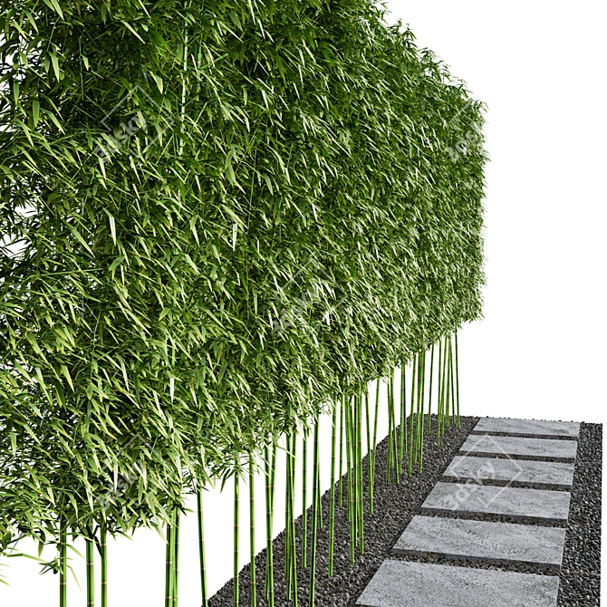 Modern Courtyard with Bamboo Path 3D model image 5