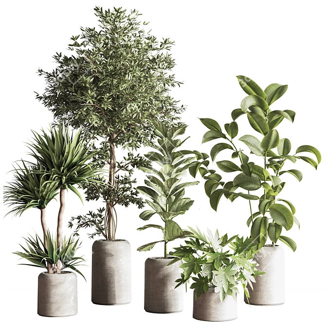 Modern Indoor Plant Set 051 3D model image 1