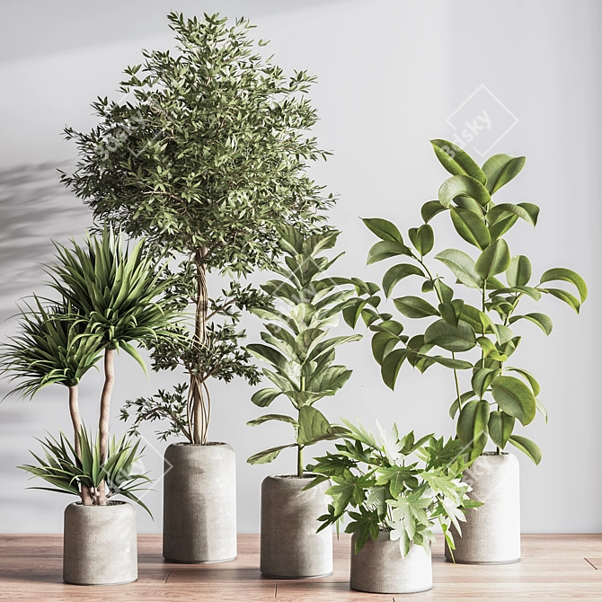 Modern Indoor Plant Set 051 3D model image 2