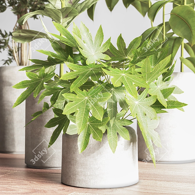 Modern Indoor Plant Set 051 3D model image 3