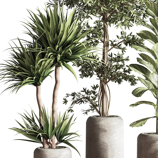 Modern Indoor Plant Set 051 3D model image 5