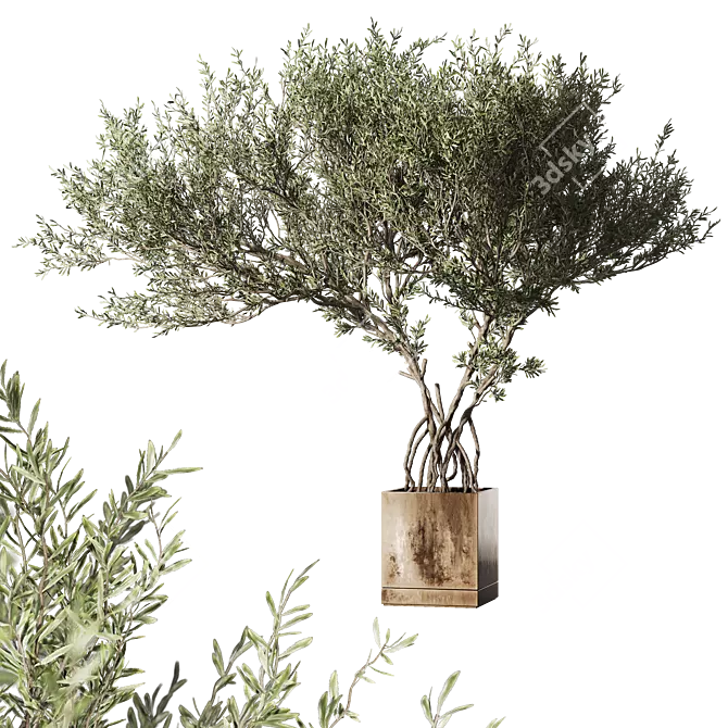 Metal Pot Live Indoor Tree 3D model image 1