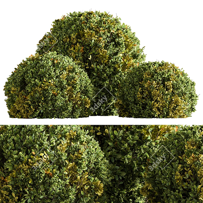 Greenery Orb Plant Home Decor 3D model image 1