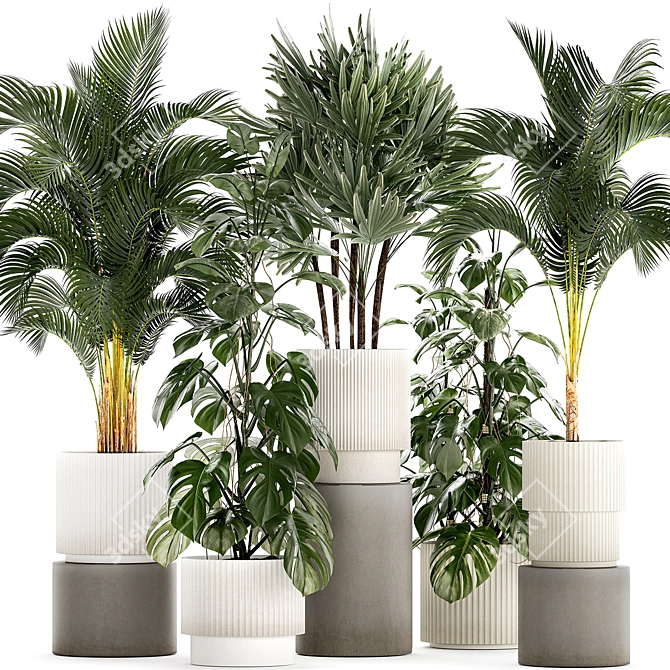 Tropical Plant Collection in Modern White Pots 3D model image 1