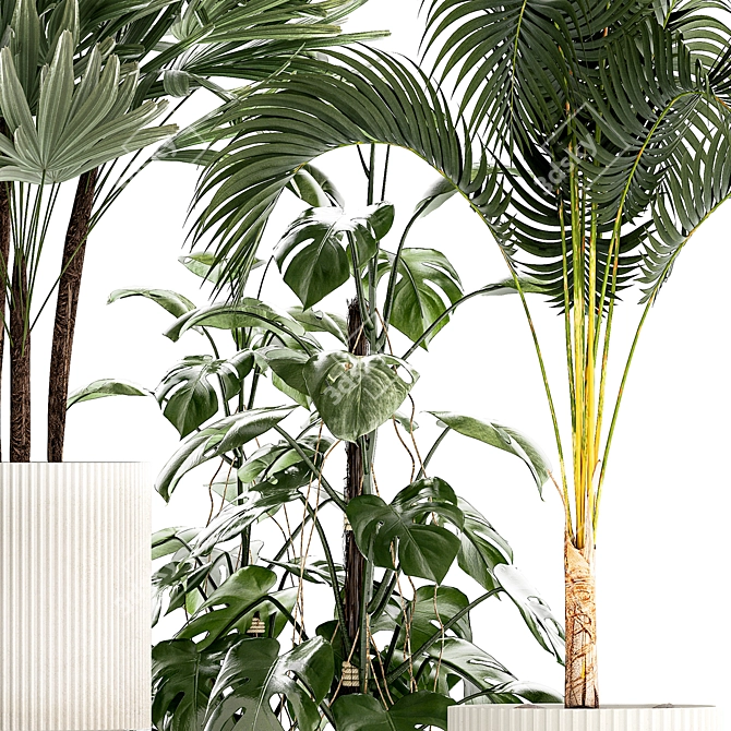 Tropical Plant Collection in Modern White Pots 3D model image 2