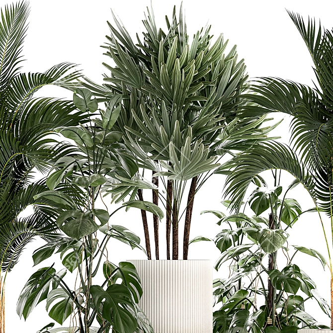 Tropical Plant Collection in Modern White Pots 3D model image 3