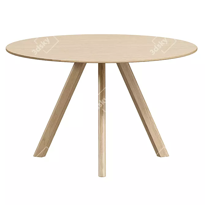 Modern Round Table CPH 20 3D model image 1