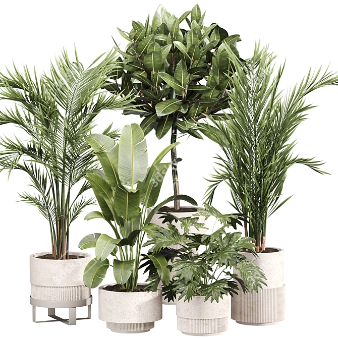 Modern Indoor Plant Set 09 3D model image 1