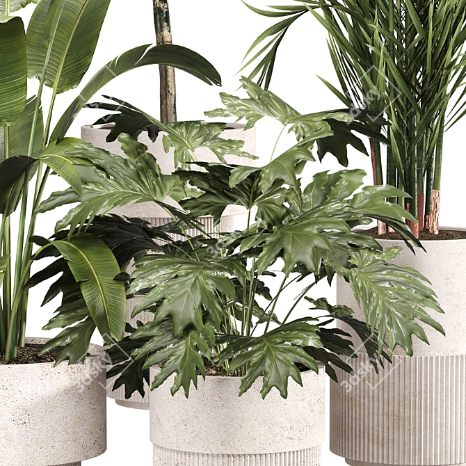 Modern Indoor Plant Set 09 3D model image 4