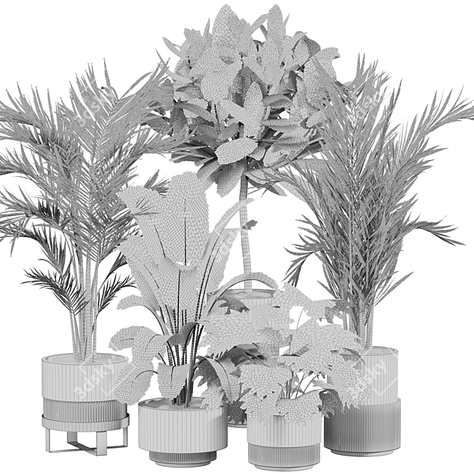 Modern Indoor Plant Set 09 3D model image 5