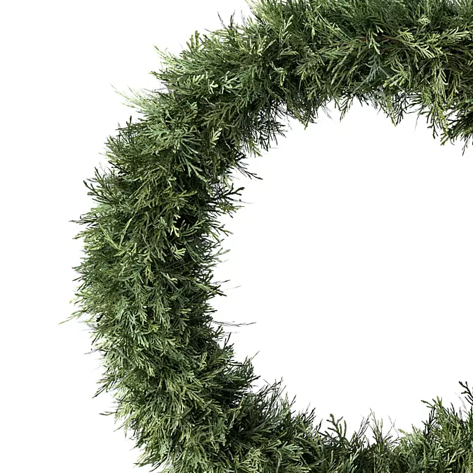 Rustic Wreath Trio Set 3D model image 2