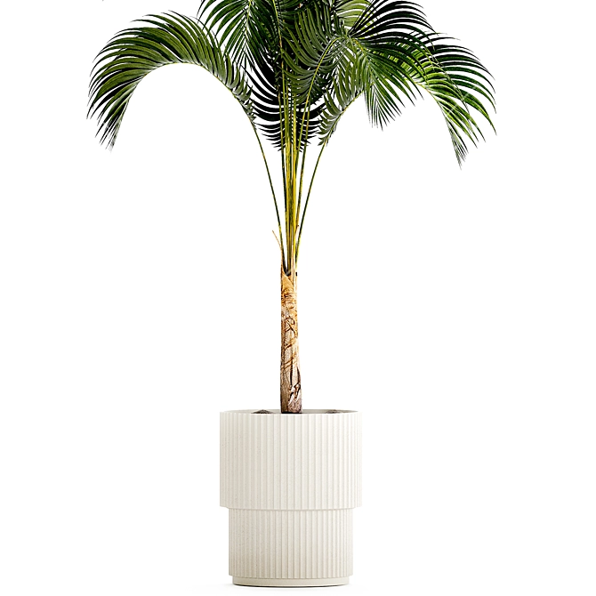 Exotic Phoenix Palm Collection 3D model image 3