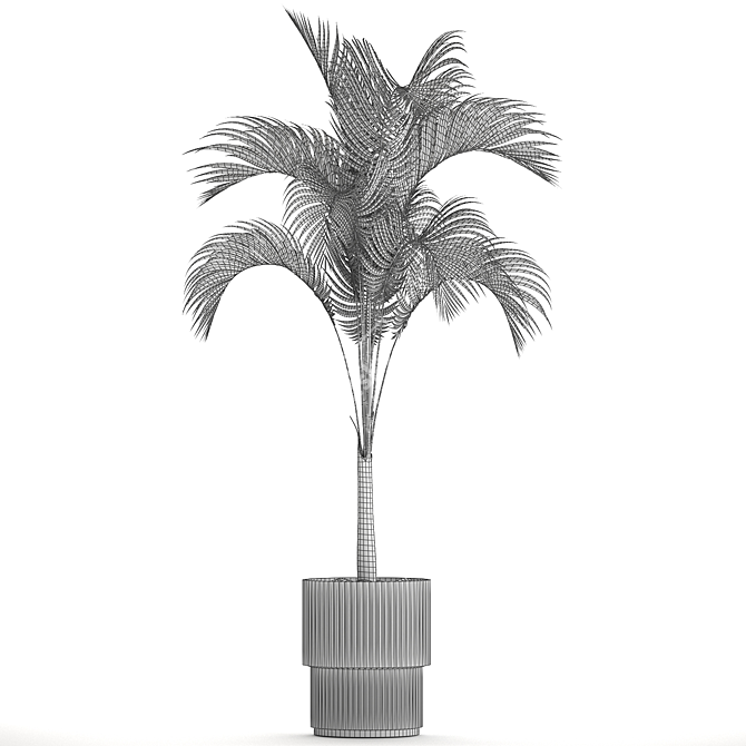 Exotic Phoenix Palm Collection 3D model image 7