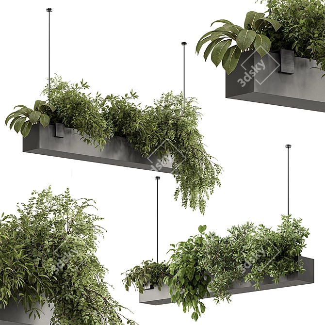  Hanging Plant 636 - Indoor Beauty 3D model image 1