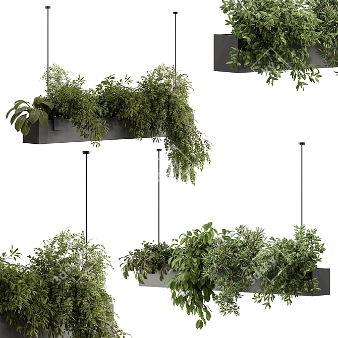  Hanging Plant 636 - Indoor Beauty 3D model image 2