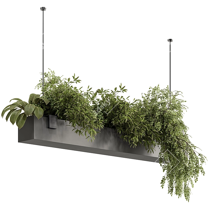  Hanging Plant 636 - Indoor Beauty 3D model image 3