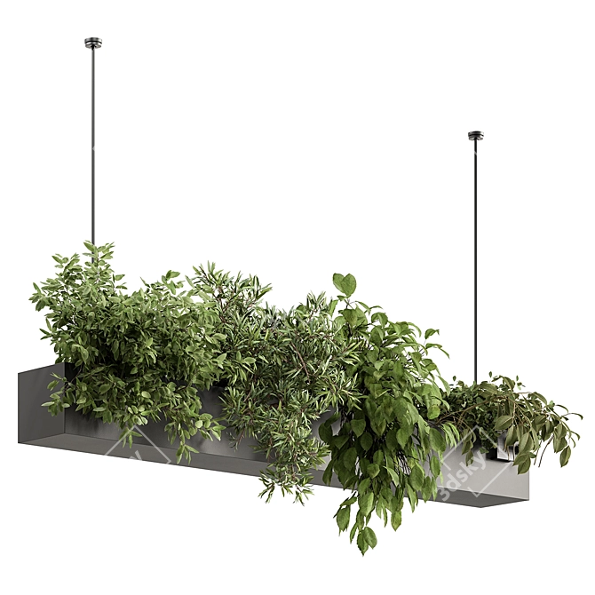  Hanging Plant 636 - Indoor Beauty 3D model image 4