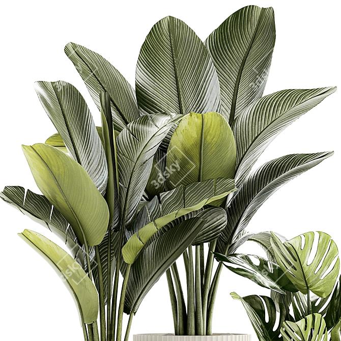 Exotic Plant Collection - Modern White Pot Display 3D model image 2