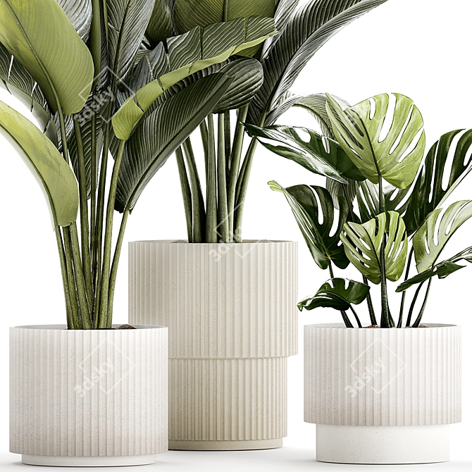 Exotic Plant Collection - Modern White Pot Display 3D model image 4