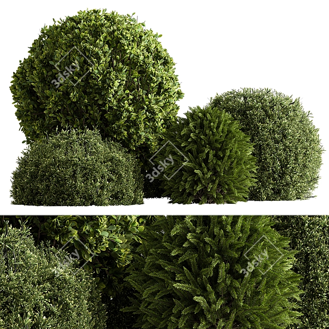 Evergreen Topiary Ball Bush 126 3D model image 1