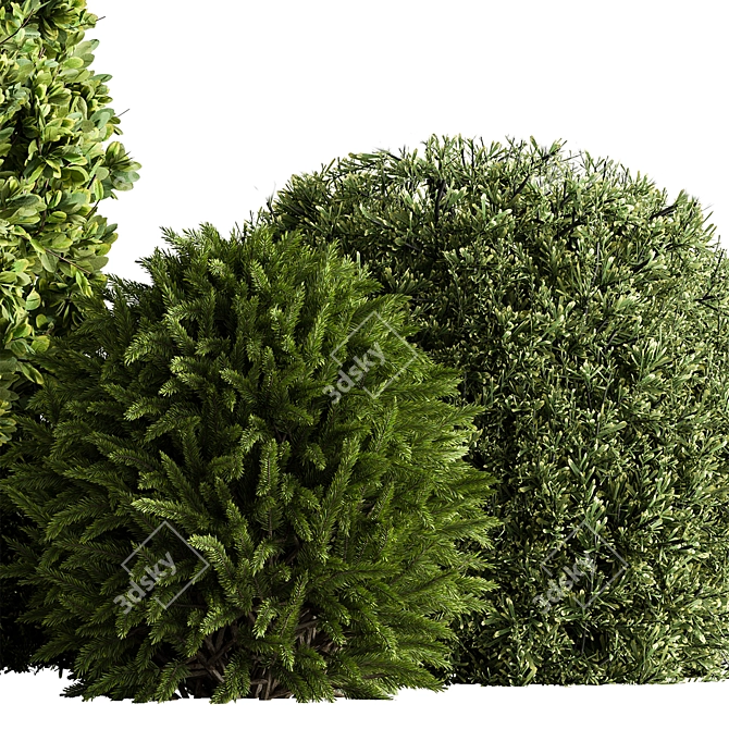 Evergreen Topiary Ball Bush 126 3D model image 2