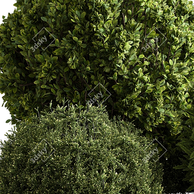 Evergreen Topiary Ball Bush 126 3D model image 4