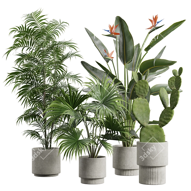 Exotic Indoor Plant Collection Pack 3D model image 1