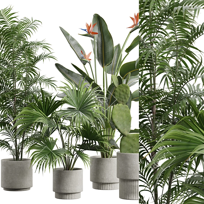 Exotic Indoor Plant Collection Pack 3D model image 2