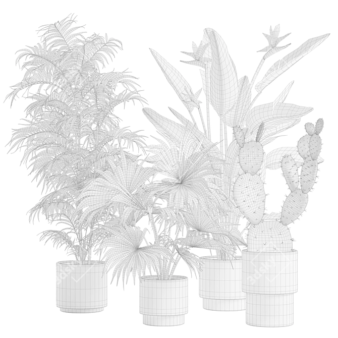 Exotic Indoor Plant Collection Pack 3D model image 3