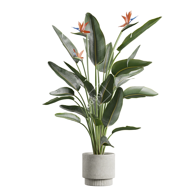 Exotic Indoor Plant Collection Pack 3D model image 4