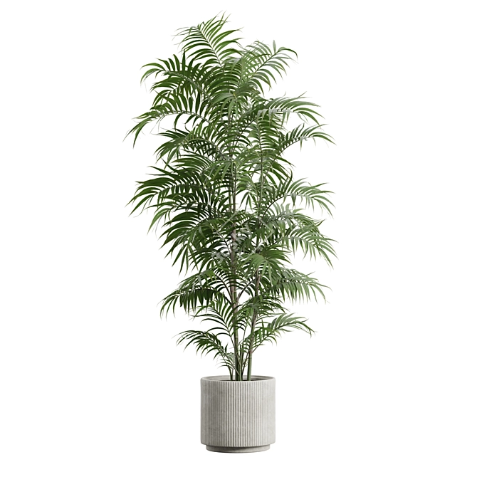 Exotic Indoor Plant Collection Pack 3D model image 5